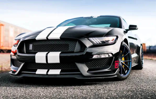 Picture Mustang, Ford, Shelby, GT350, Ford Mustang Shelby GT350