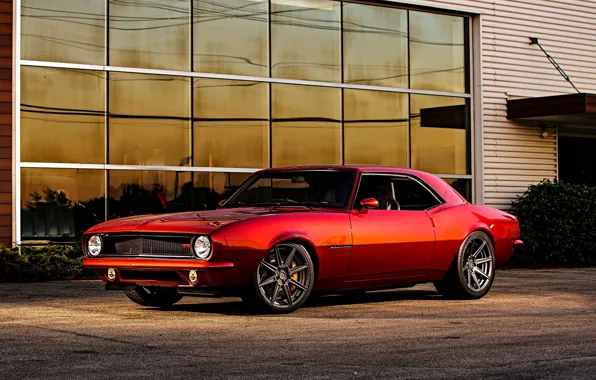 Picture Chevrolet, Muscle, Camaro, Coupe, Tuning, 1968