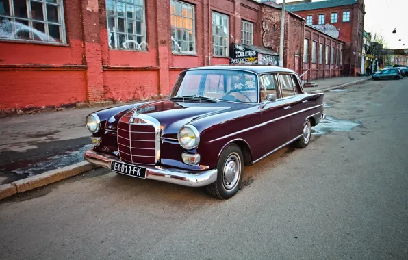 Picture Mercedes-Benz, Mercedes, Germany, France, W110
