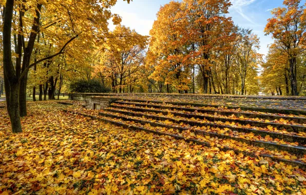 Picture autumn, nature, Park, foliage, ladder, Saint Petersburg