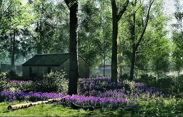 Picture HDR, House, Wood, Flower, Spring, Game, Sunshine, Trees, UHD, Xbox One X, Forza Horizon 4, …