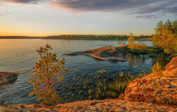 Picture autumn, forest, trees, landscape, sunset, nature, lake, stones, Bank, Lake Ladoga, Karelia, Ladoga, Vladimir Ryabkov, …