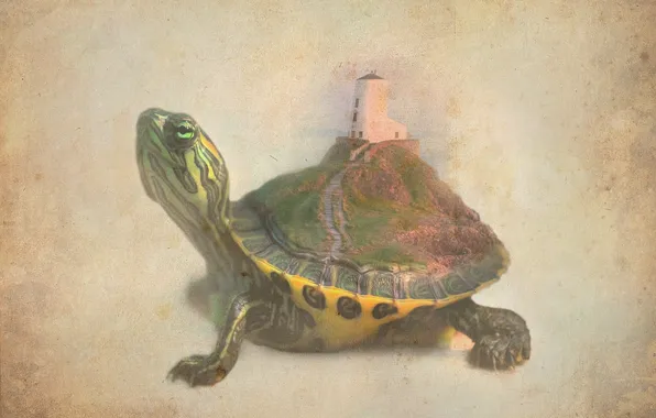 Picture landscape, nature, fantasy, lighthouse, turtle, the illusion of nature.