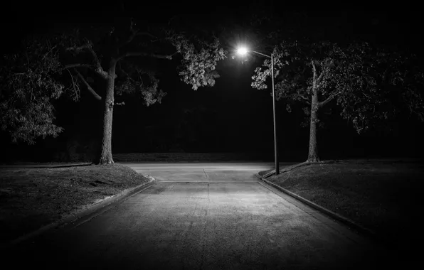 Picture road, night, lantern