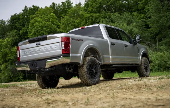 Picture grey, Ford, pickup, Super Duty, F-350, Tremor, 2020, Off-Road Package, F-series, near the forest