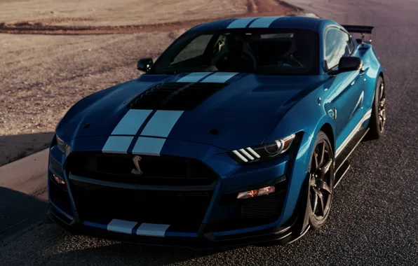 Picture asphalt, blue, Mustang, Ford, Shelby, GT500, 2019