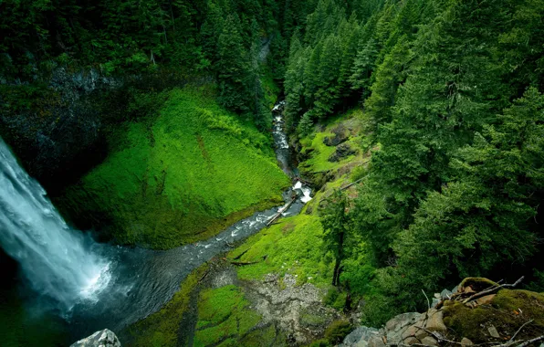 Picture trees, waterfall, river, the view from the top, the beauty of nature, water flows
