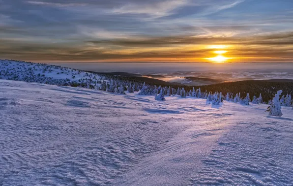 Picture Winter, sunrise, Mountains, Jeseniky