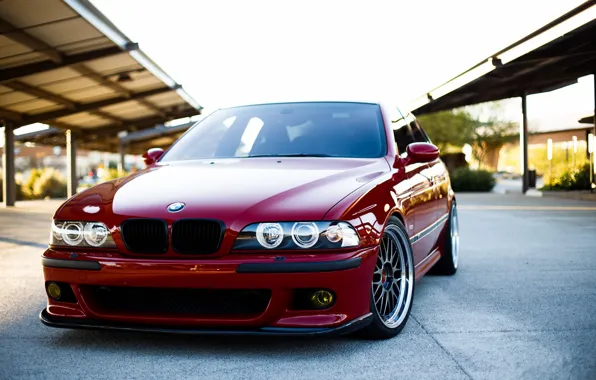 Picture BMW, E39, M5, Dark red