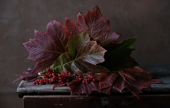 Picture berries, table, wall, bouquet, red, old, still life, chest, composition, Kalina, autumn leaves, the crimson