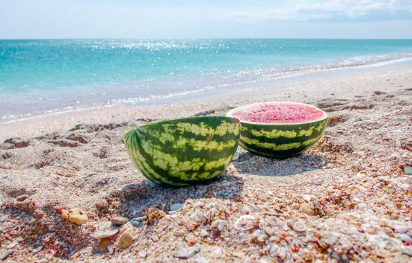 Picture sea, beach, summer, pebbles, shore, coast, food, watermelon, surf, shell, bokeh, half, cut