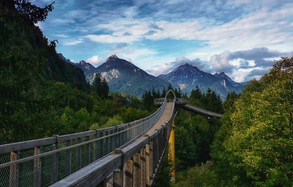 Picture clouds, landscape, mountains, bridge, nature, Germany, Bayern, forest, viaduct