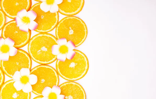 Picture flowers, orange, yellow, background, color, orange, oranges, texture, white background, fruit, white, circles, citrus, slices, …