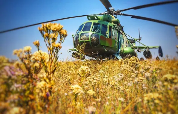 Picture Helicopter, Mi-8, Ukraine Air Force, ATO