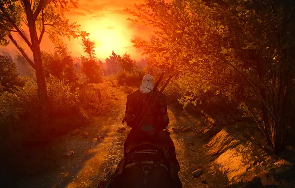 Picture Sunset, The Witcher, Sunset, Witcher, The Witcher 3 Wild Hunt, Witcher 3 Wild Hunt, White …
