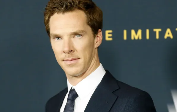 Picture portrait, Benedict Cumberbatch, Benedict Cumberbatch, British actor