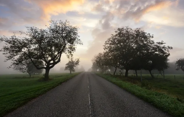 Picture road, nature, morning