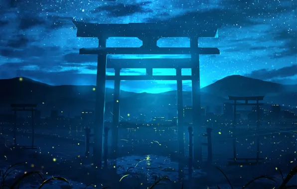 Picture the sky, night, nature, Torii