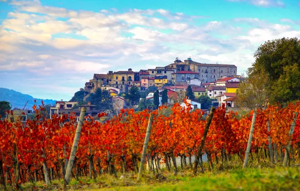 Picture autumn, home, Italy, vineyard, Campaign, Таурази