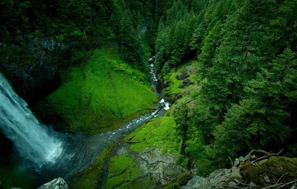 Picture forest, mountains, river, photo, waterfall