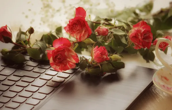Picture flowers, table, roses, bouquet, blur, button, Cup, red, keyboard, laptop, still life, bokeh, composition, striped