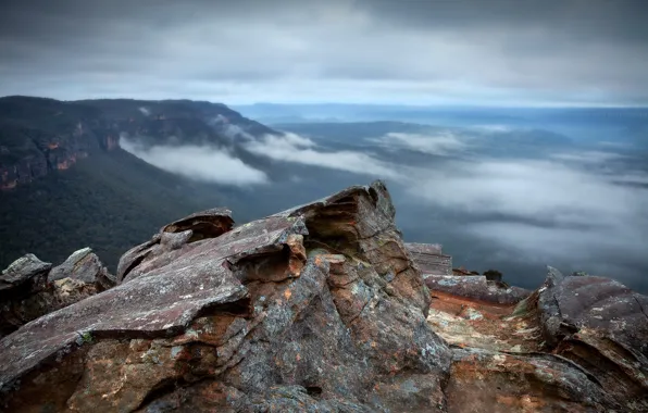 Picture australia, mist, Blue Mountains