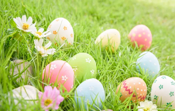 Picture grass, flowers, eggs, Easter, flowers, spring, Easter, eggs, decoration, pastel colors