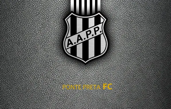 Picture wallpaper, sport, logo, football, Brazilian Serie A, Ponte Preta