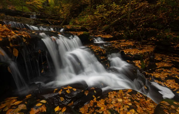 Picture autumn, leaves, stones, foliage, waterfall, stream, yellow, cascade