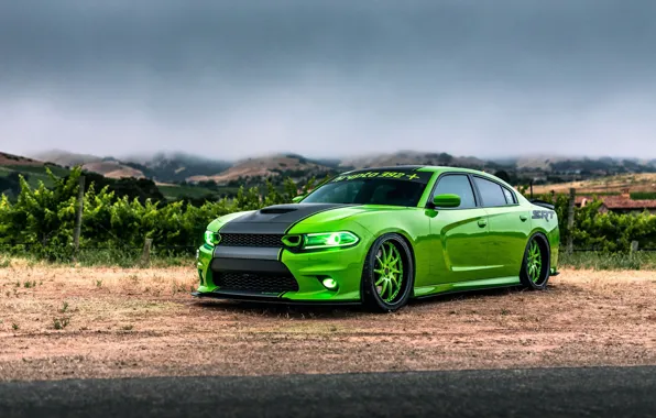 Picture Dodge, Green, Charger 392