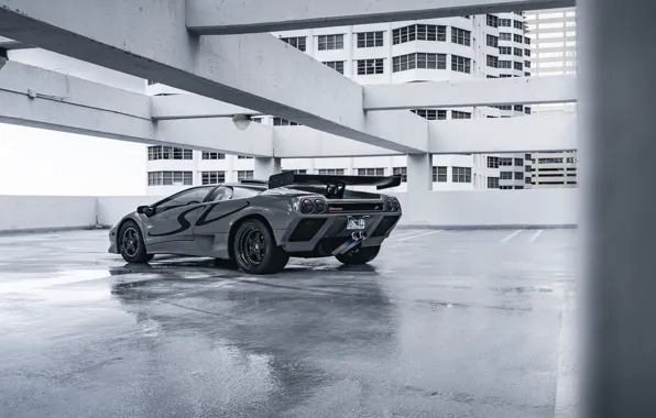 Picture Lamborghini, Rear View, Diablo SV