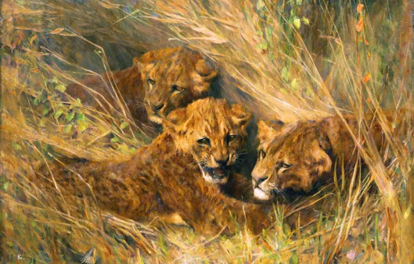 Picture Grass, Picture, Three, Lion cub, Arthur Wardle, Британский художник, Артур Вардль, Детёныши