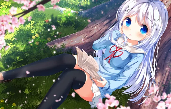 Picture girl, long hair, anime, blue eyes, beautiful, pretty, attractive, handsome, sweater, silver hair, mini skirt