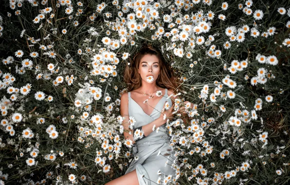 Picture summer, girl, flowers, glade, chamomile, dress, lies, white, long-haired, Rus, chamomile field, Nikolay Tikhomirov