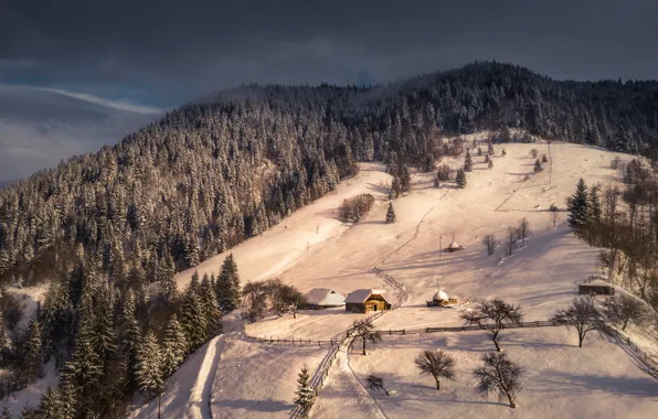 Picture winter, snow, landscape, mountains, nature, slope, houses, forest, Carpathians, Дмитрий Иванов