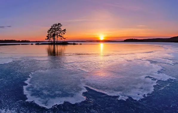 Picture winter, trees, sunset, ice, island, Finland, Finland, Lake Cariari, frozen lake, Kari Lake Lake