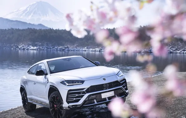 Picture mountain, Lamborghini, Japan, Sakura, 2018, crossover, Fuji, Urus