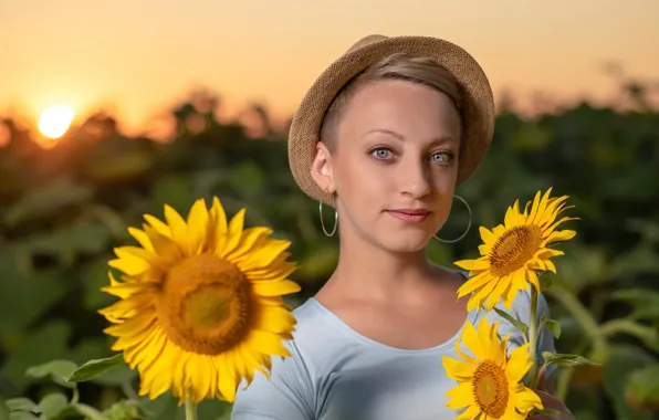 Picture girl, sunflowers, Masha
