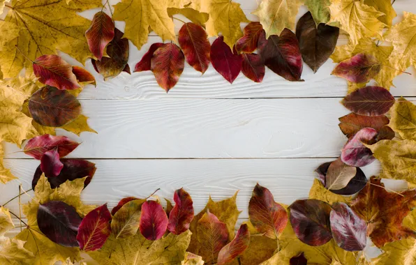 Picture autumn, leaves, background, tree, Board, colorful, wood, background, autumn, leaves, autumn