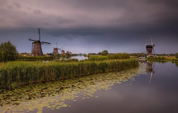 Picture Holland, Windmill, South Holland, Elshout