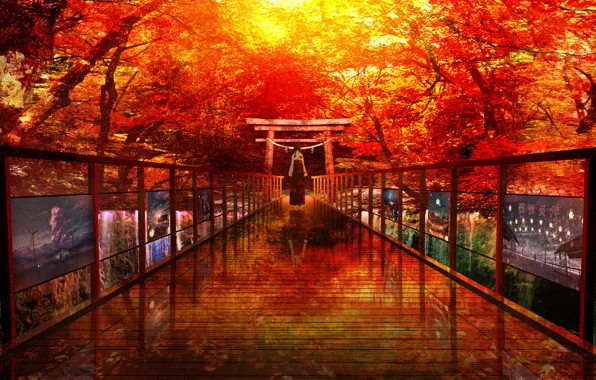 Picture autumn, girl, trees, bridge, landscapes, traditional clothing, torii