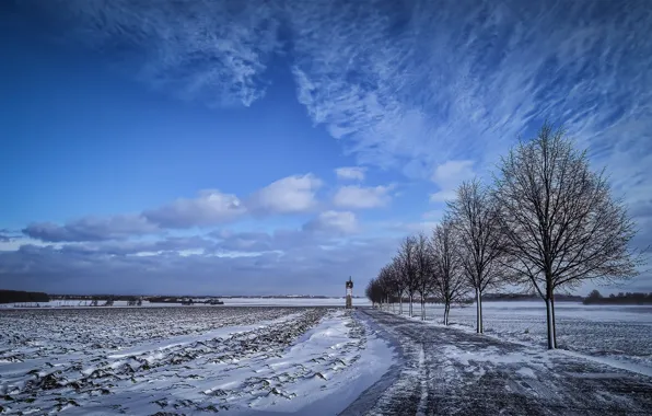 Picture winter, road, field, nature
