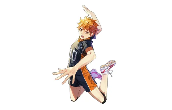 Picture movement, white background, guy, Volleyball, Haikyuu, Hinata,