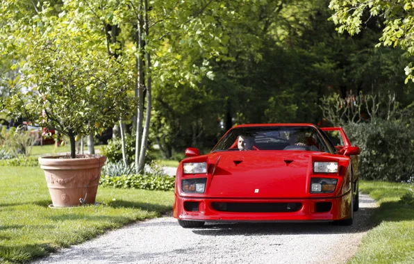 Picture Red, F40, Road, Trees