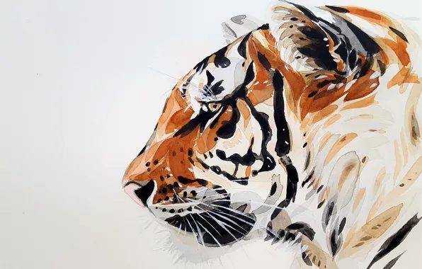 Picture Tiger, Mustache, Profile, White background, Head, Predator, Art, Painting, Animal, Close-up, Side, Watercolor, Ears