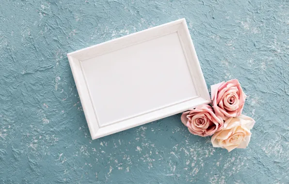 Picture background, blue, roses, frame, pink, buds