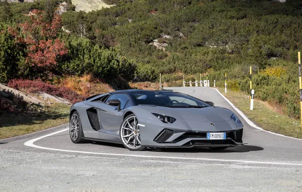 Picture Lamborghini, Aventador, gray