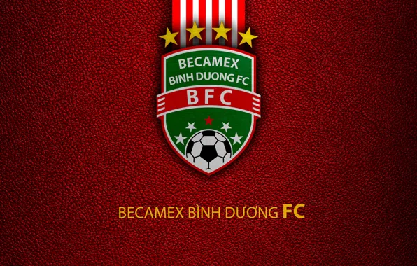 Picture wallpaper, sport, logo, football, Becamex Binh Duong