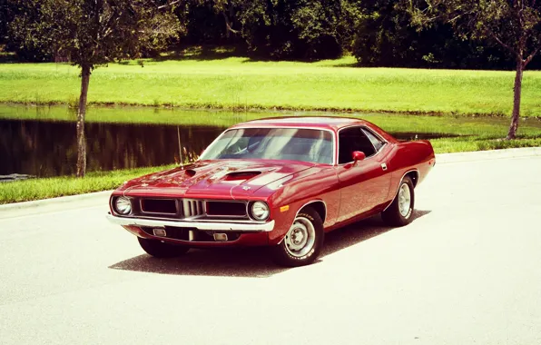 Picture Muscle, Red, Plymouth, Cuda, Hemi