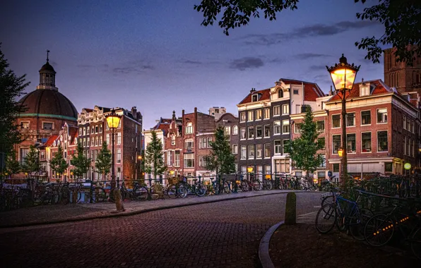 Picture the city, building, home, Amsterdam, lights, Netherlands, bikes, Holland